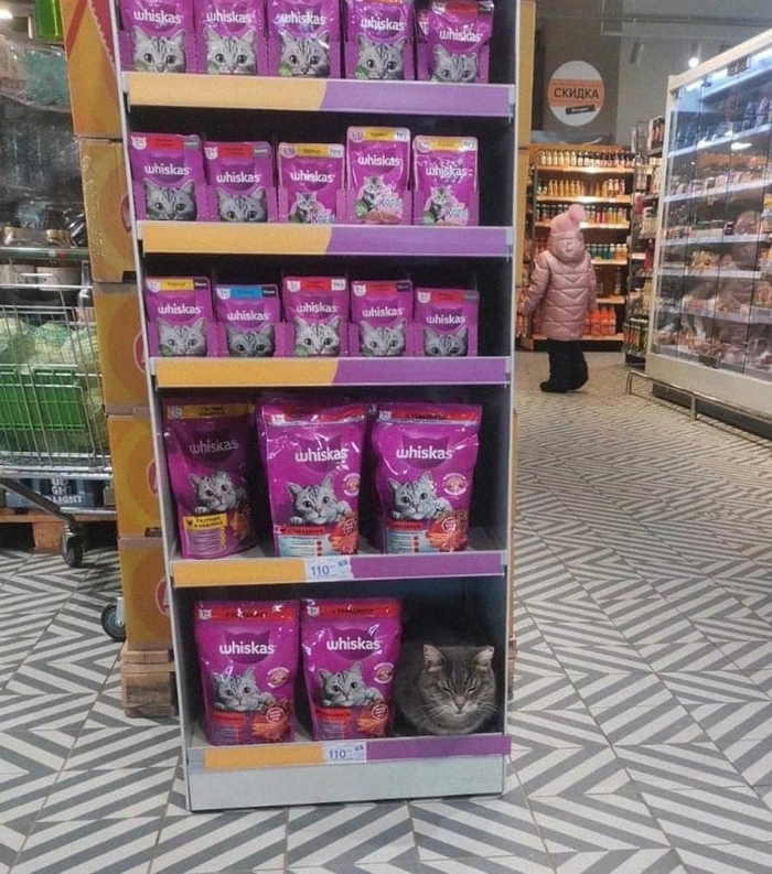 Режим скрытности в РПГ