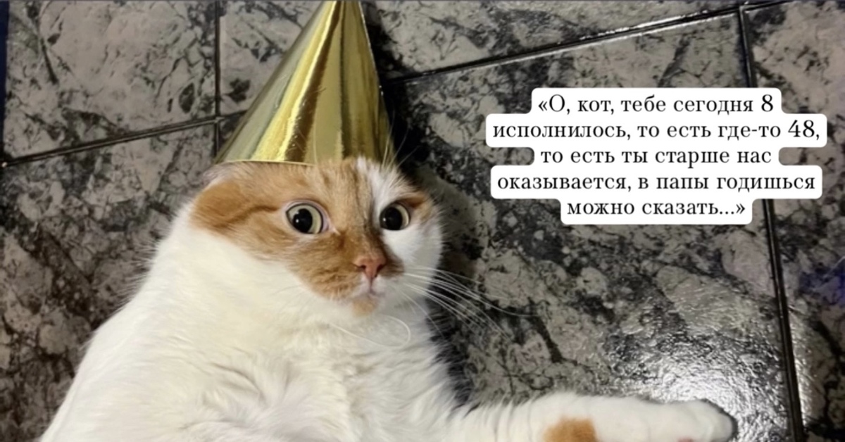 Мем кот с днем рождения