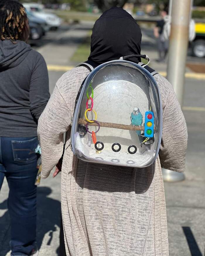 И себя показать и мир посмотреть