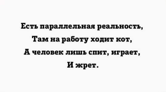 ���� � ������ �����������