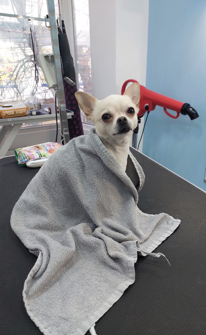 ����������� ����� �� ��������