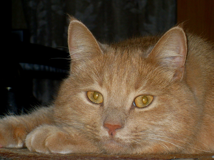 ���������...