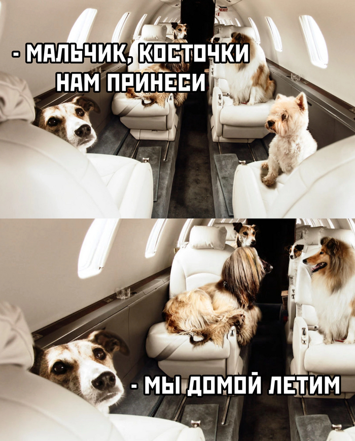 Из Турции летят