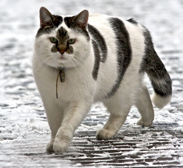 ���-������