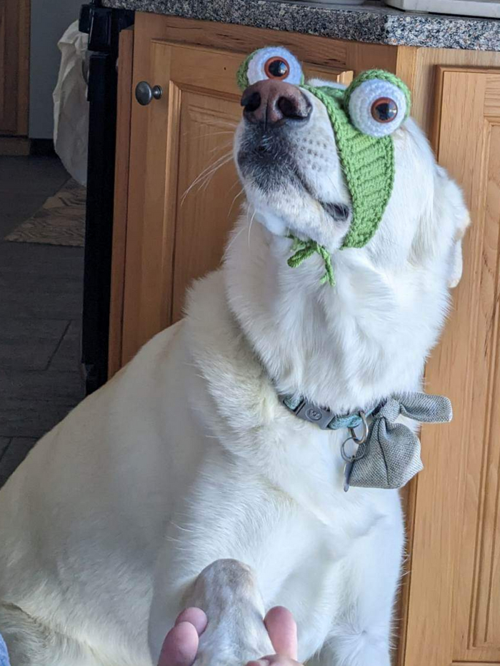 ��� ������)