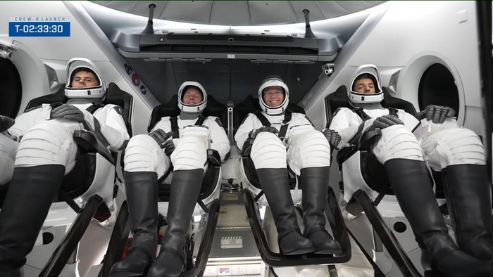           Crew Dragon! , , SpaceX,  , , , 