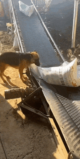   , , , 