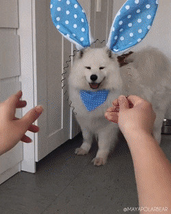   , , , 