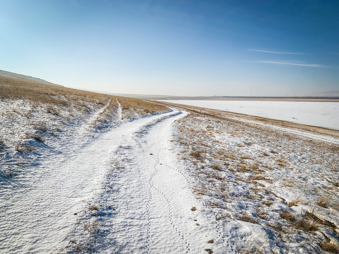 Птичья тропка