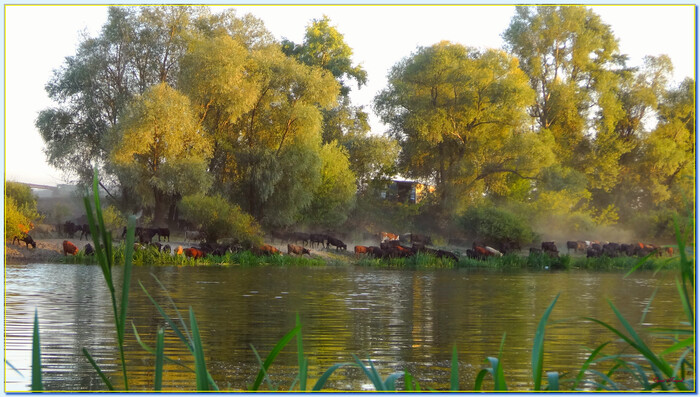 �������