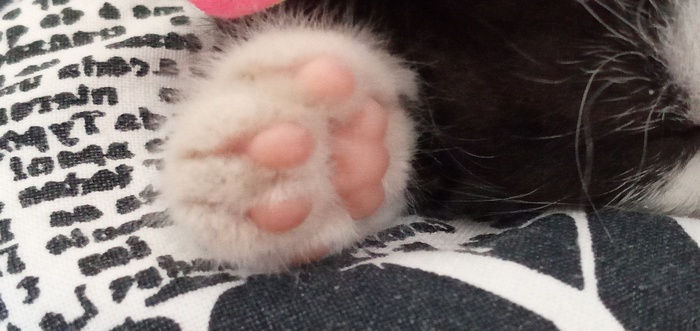 Маленькость