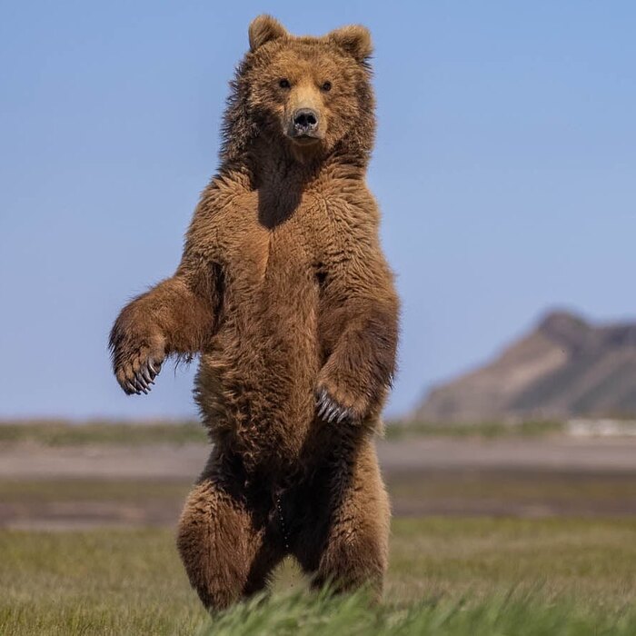 Сфоткай меня в полный рост