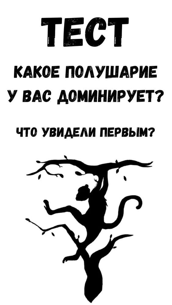 Тест: какое полушарие мозга у вас доминирует?