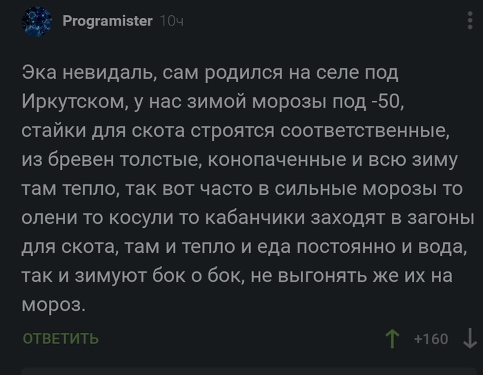 Удивительное рядом