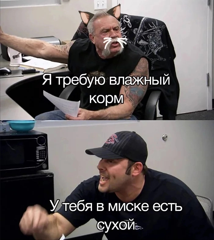 Кошачий корм | Пикабу
