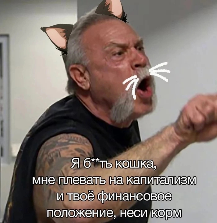 Кошачий корм | Пикабу
