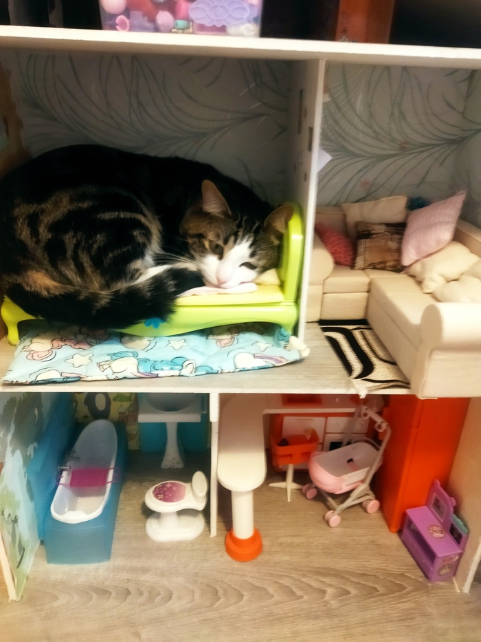 ��������� �����