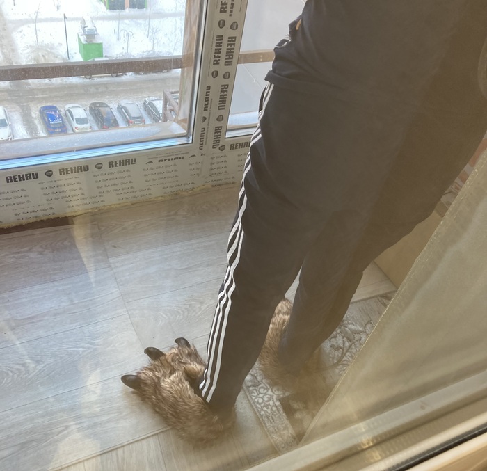 �������� ����� ������ � �������