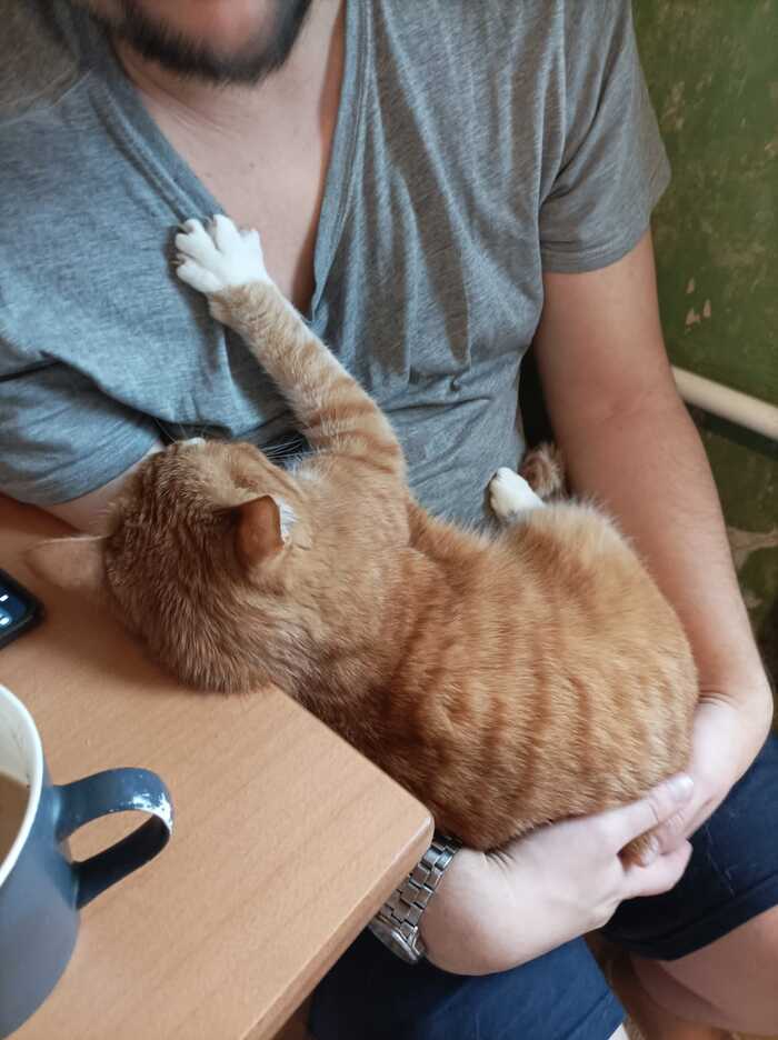 Вот так и живём! Утро начинается не с кофе