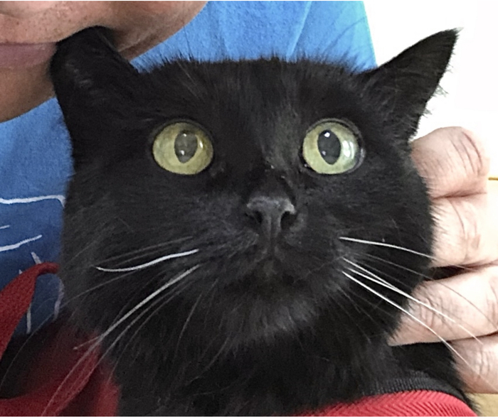 ����� tabrbyth � ���� � ������� ������ ��� �������� ����� ������