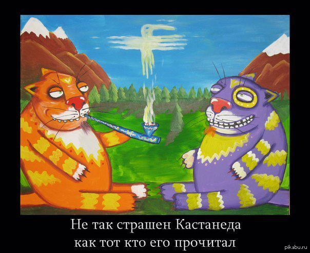 Дао дэ Кастанеда: Даосизм для самых маленьких (Maelinhon) Эзотерика, Саморазвитие, Буддизм, Цивилизация, Личность, Осознанность, Духовность, Лао Цзы, Карлос Кастанеда, Длиннопост