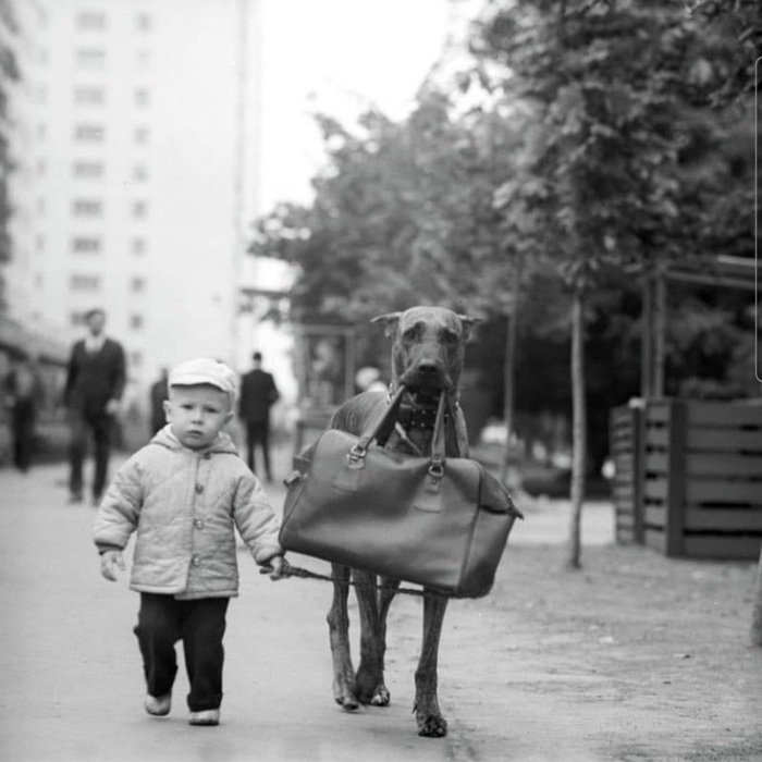 �� ���������