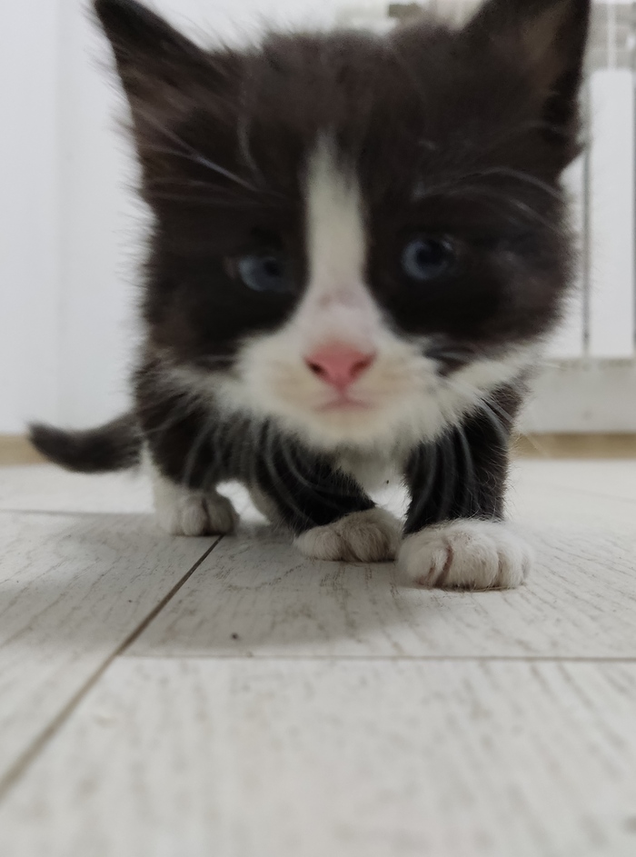 � ��� ������������ � ����