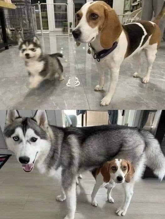 ���������� �������