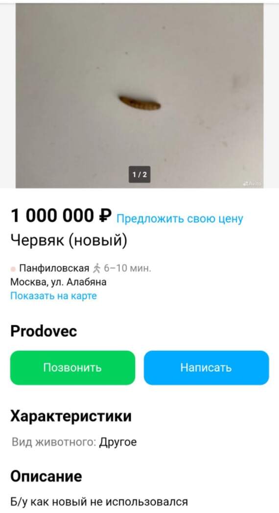 Когда на рыбалке утопил мотор: