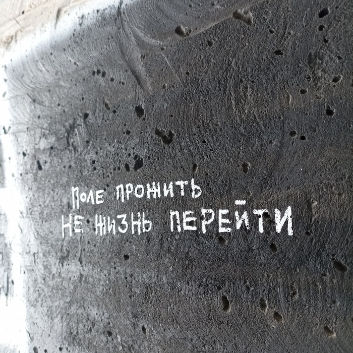 Подборка надписей - 168 выпуск | Пикабу