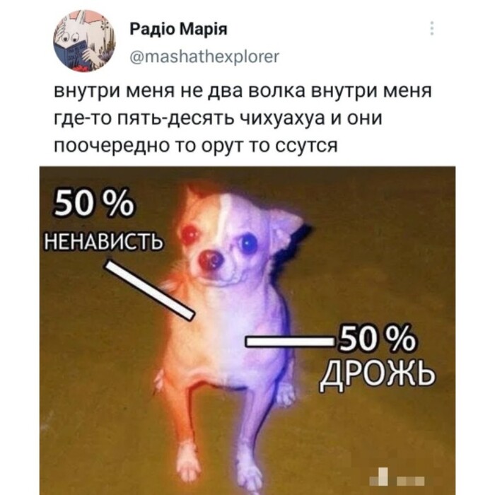 От ненависти до дрожи один шаг