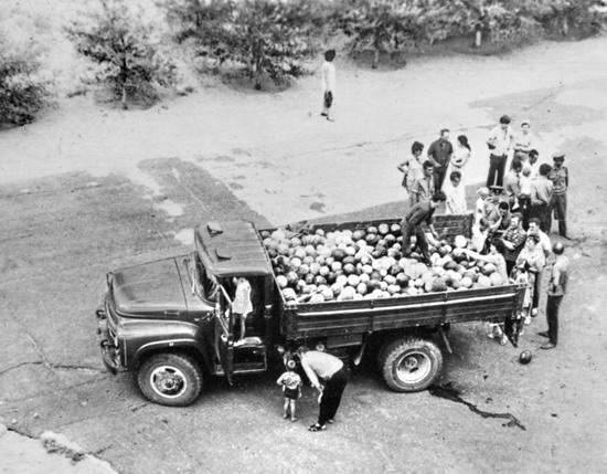 Пап,там арбузы привезли! | Пикабу