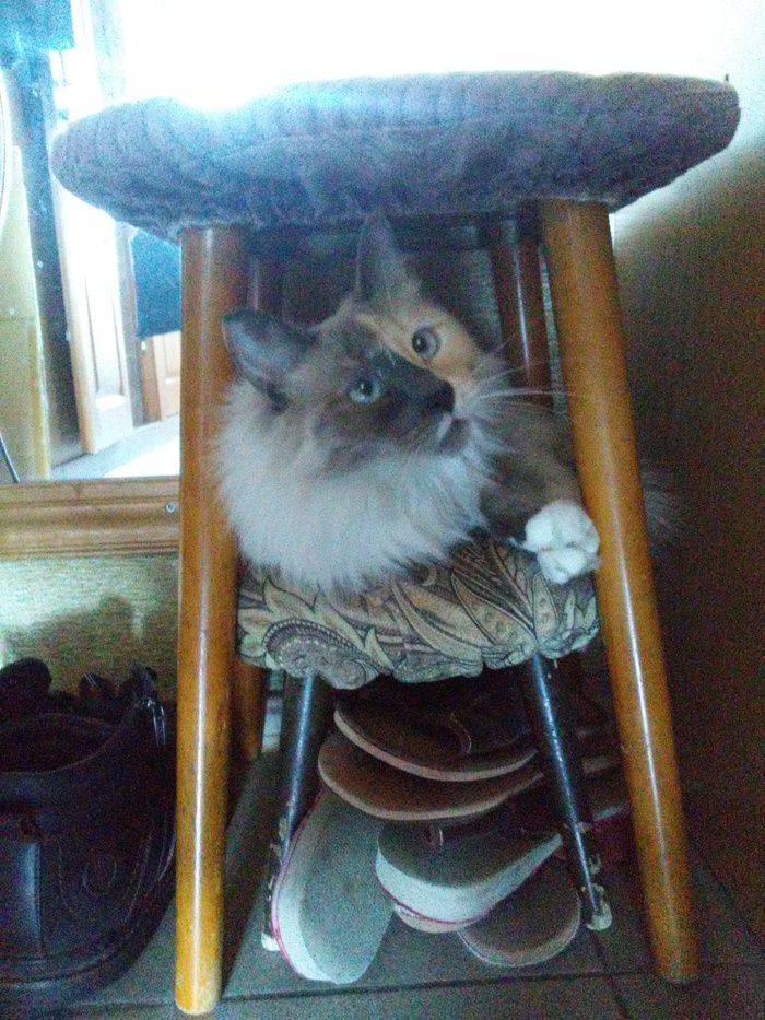 ����� �� ���� ������ �� ������ ������� �� ������ � ����� ������