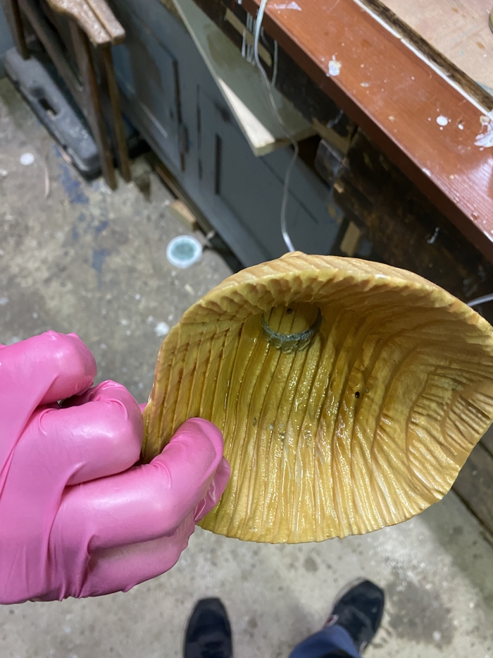 Интересная шляпка гриба | Пикабу