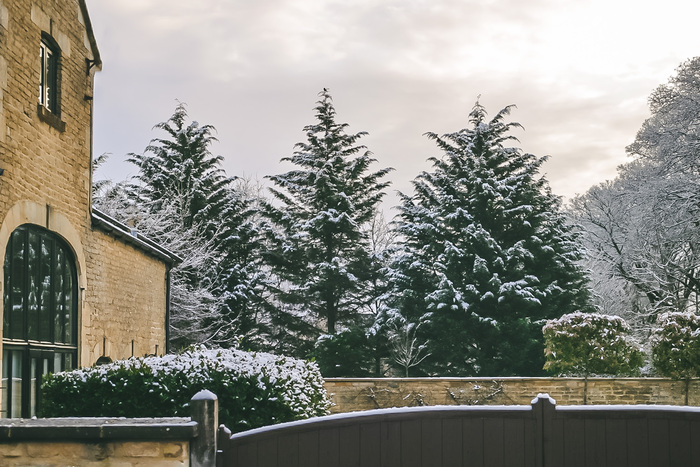 Что я вижу утром