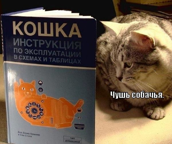 ������ ����������