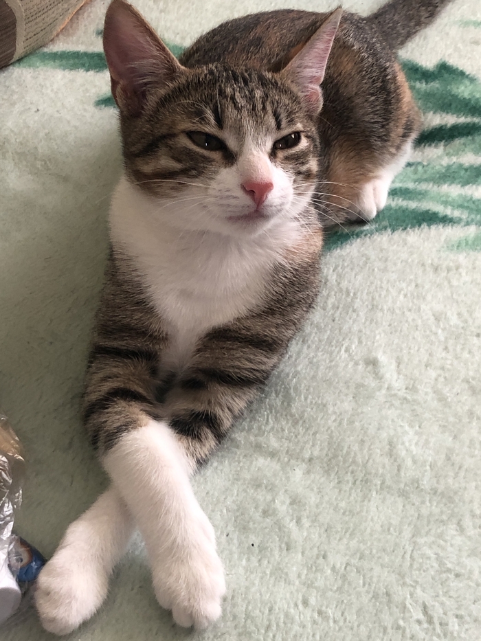 ��������� - 2