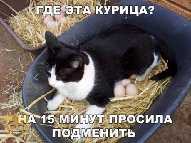 ������ ������ ������