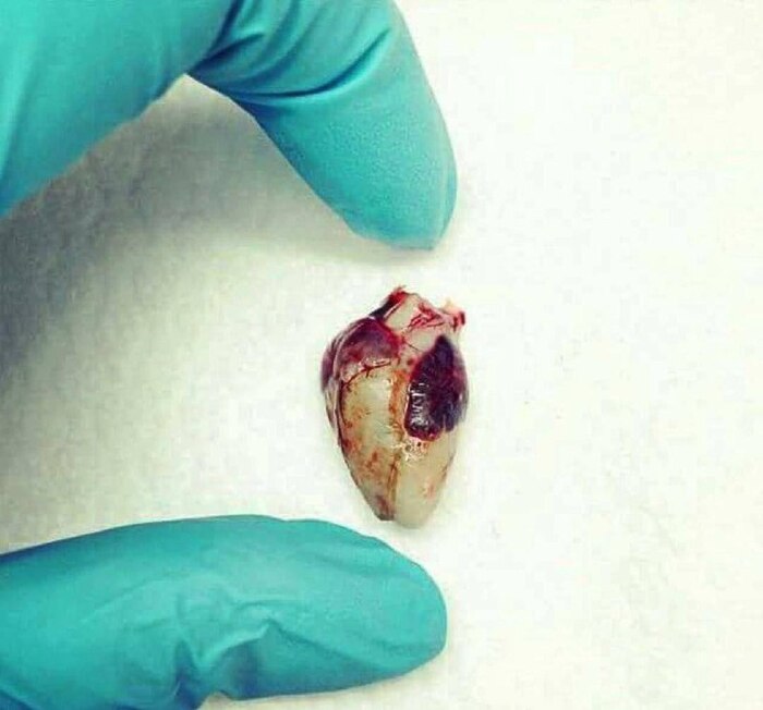 ������ ����� �� 20-� ������...