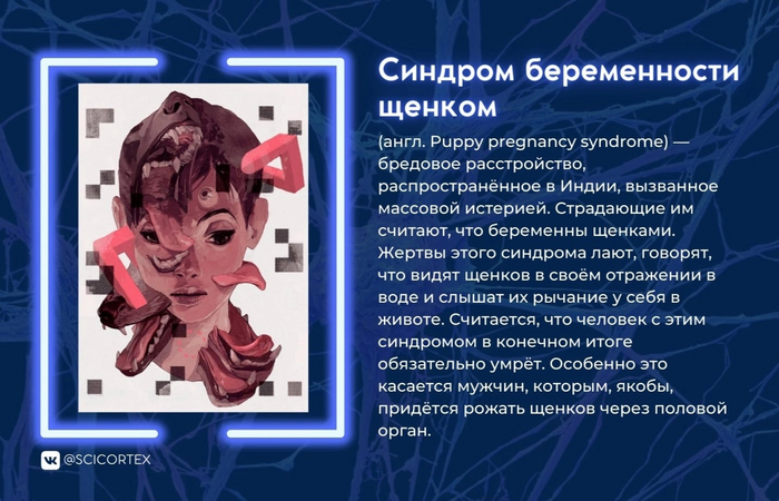    , , CatGeeks, , , , , , 