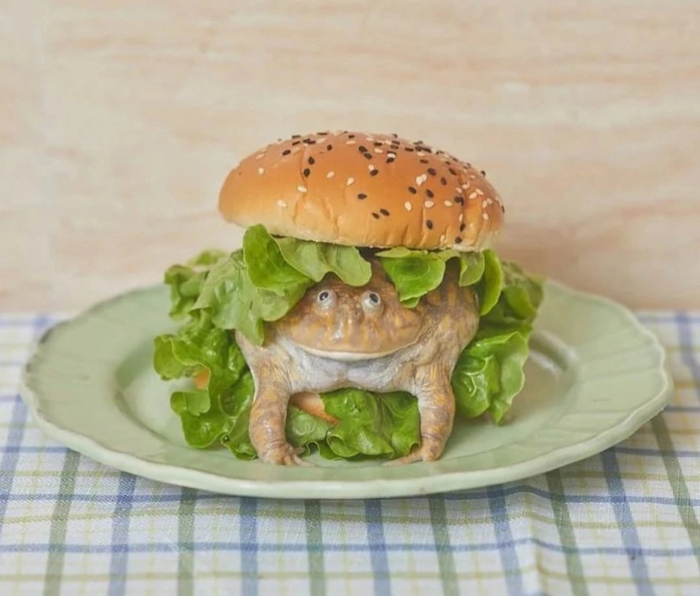  , It Is Wednesday My Dudes, , 