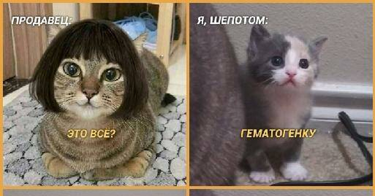 Гематогенку с ёжиком | Пикабу