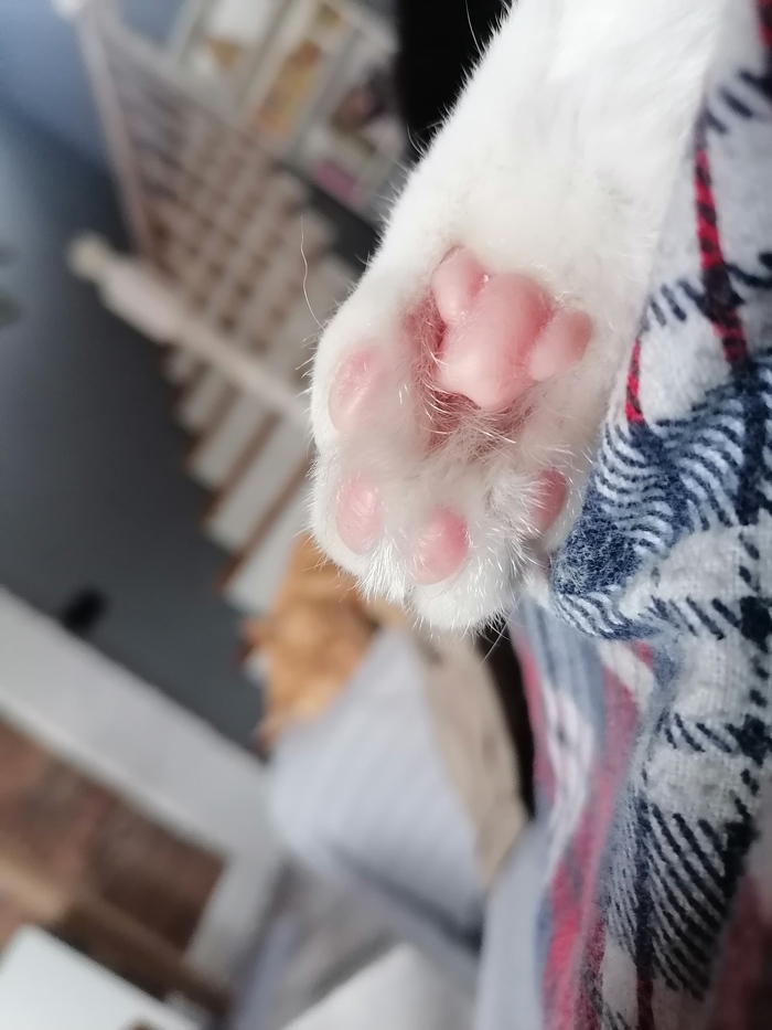 ����� �������