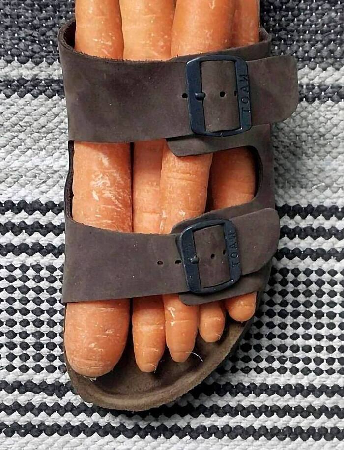-   , 