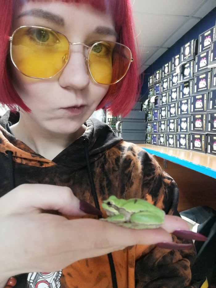   ,     , It Is Wednesday My Dudes, 