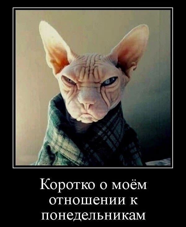 ����-�� �������� ������, � ��� ���� ��� ������������