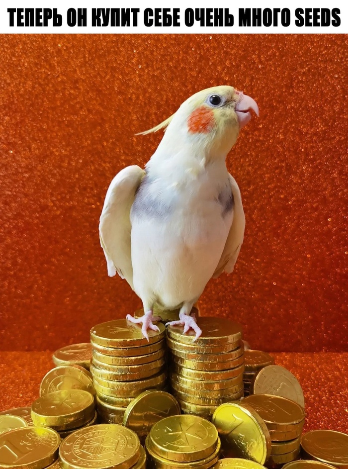   , ,   , , , 