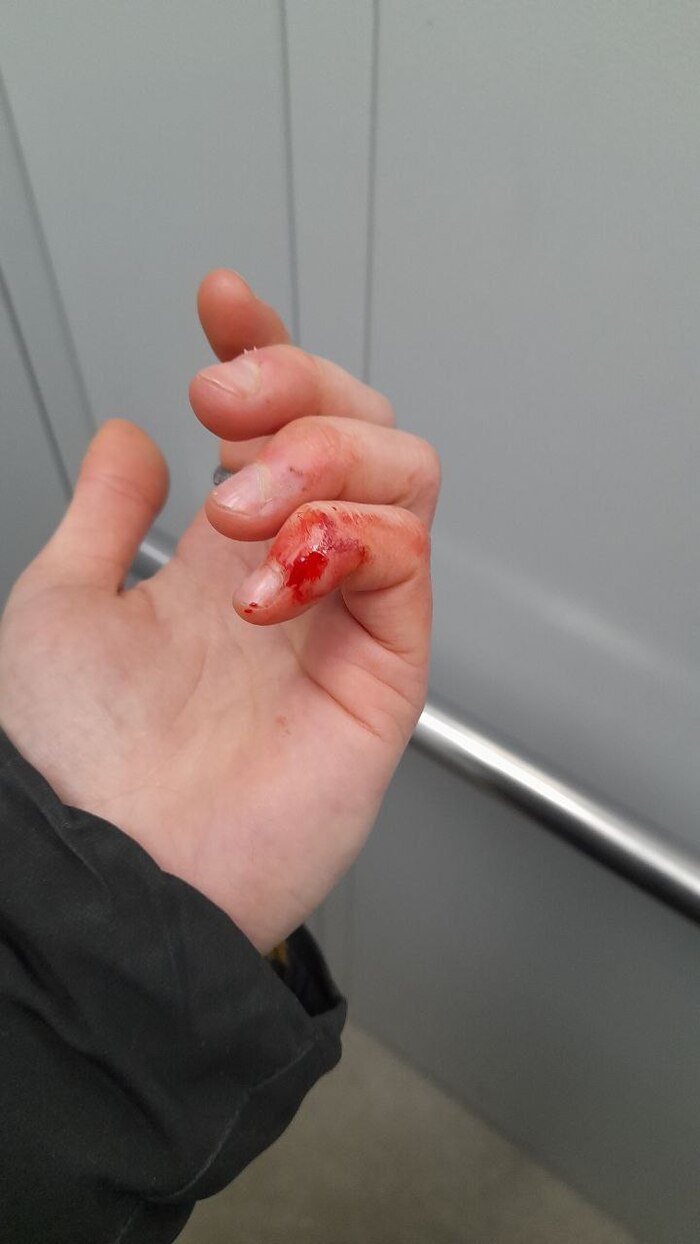 ������ ���� ������