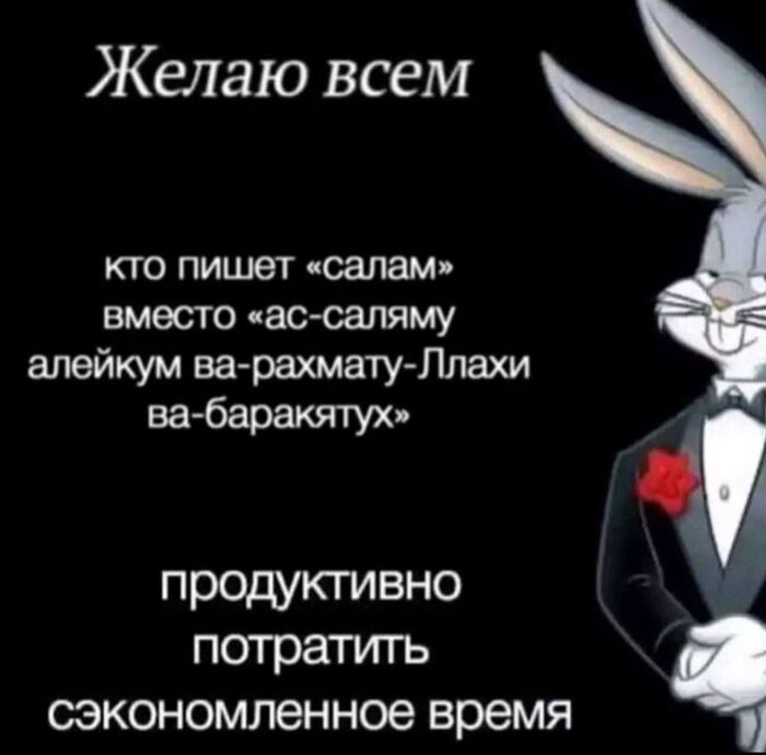 Салам | Пикабу