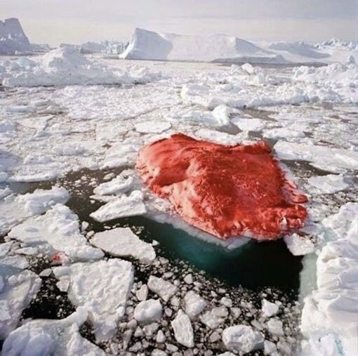 Красный айсберг